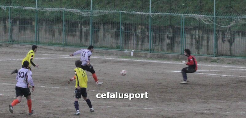 120310 stefanese 244y_tn.jpg